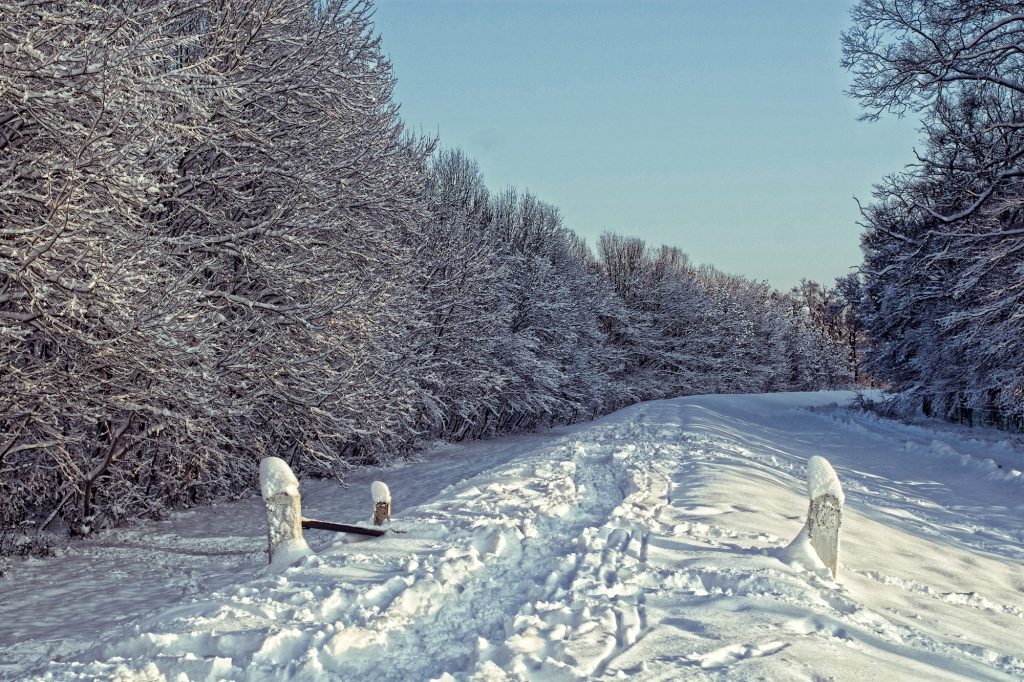 Téli kirándulás Sárváron