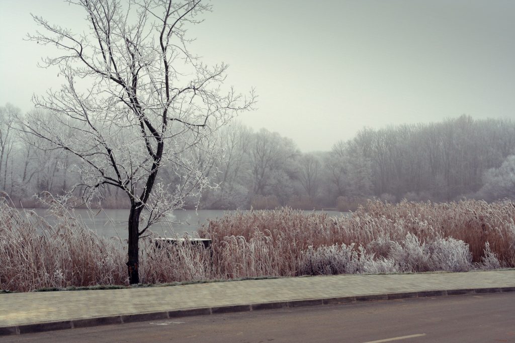 A sárvári csónakázó tó télen